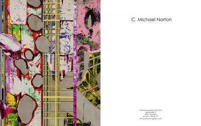 Catalogue Essay for C. Michael Norton Over the top